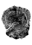 装饰画
