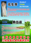 花生芽 黑豆苗