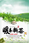 新茶上市