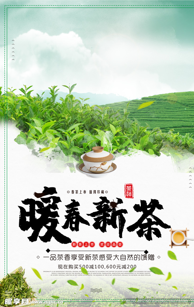 新茶上市