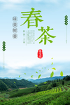 春茶海报