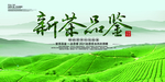 新茶上市