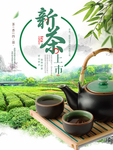 新茶上市