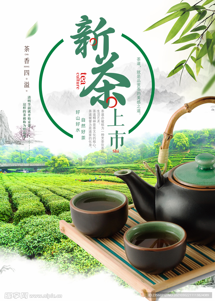 新茶上市