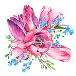 绘叶子 水彩画 水彩鸟 手绘叶