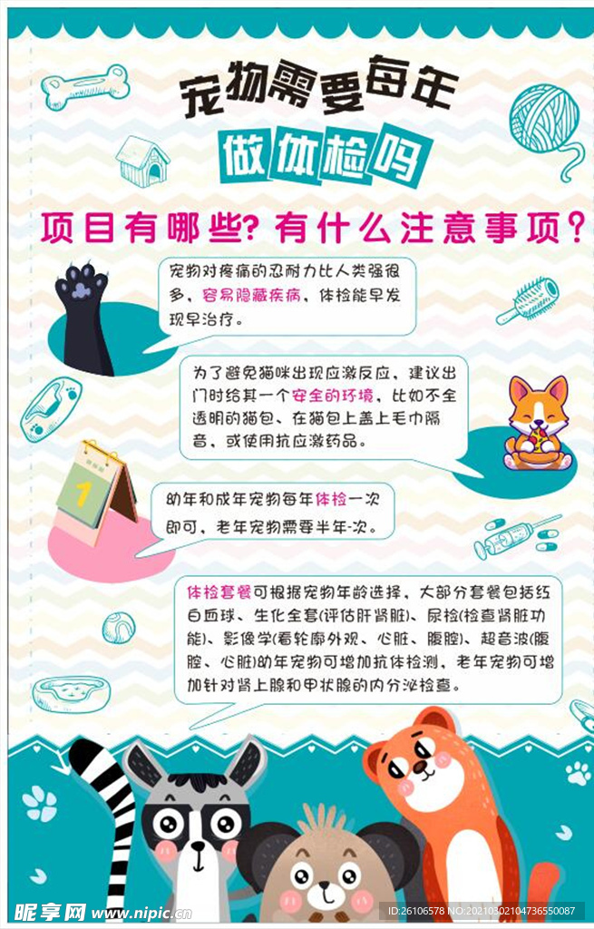 宠物检测