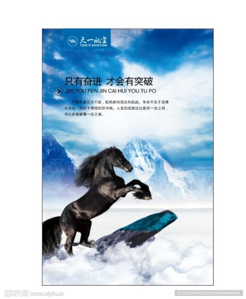 公司文化