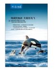 公司文化