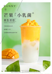 芒果小乳菌