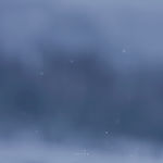 雪