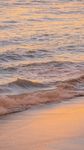 海