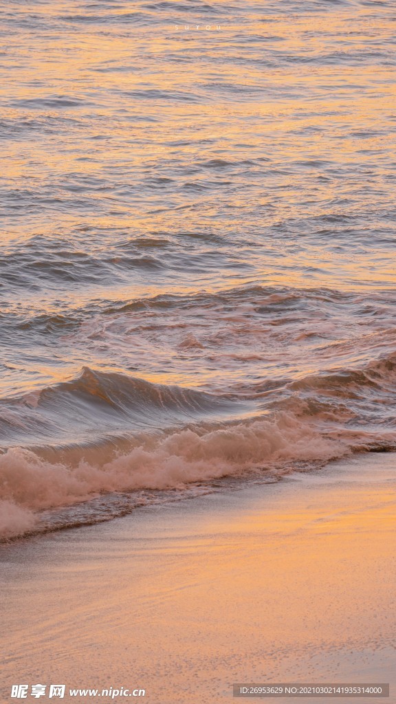 海