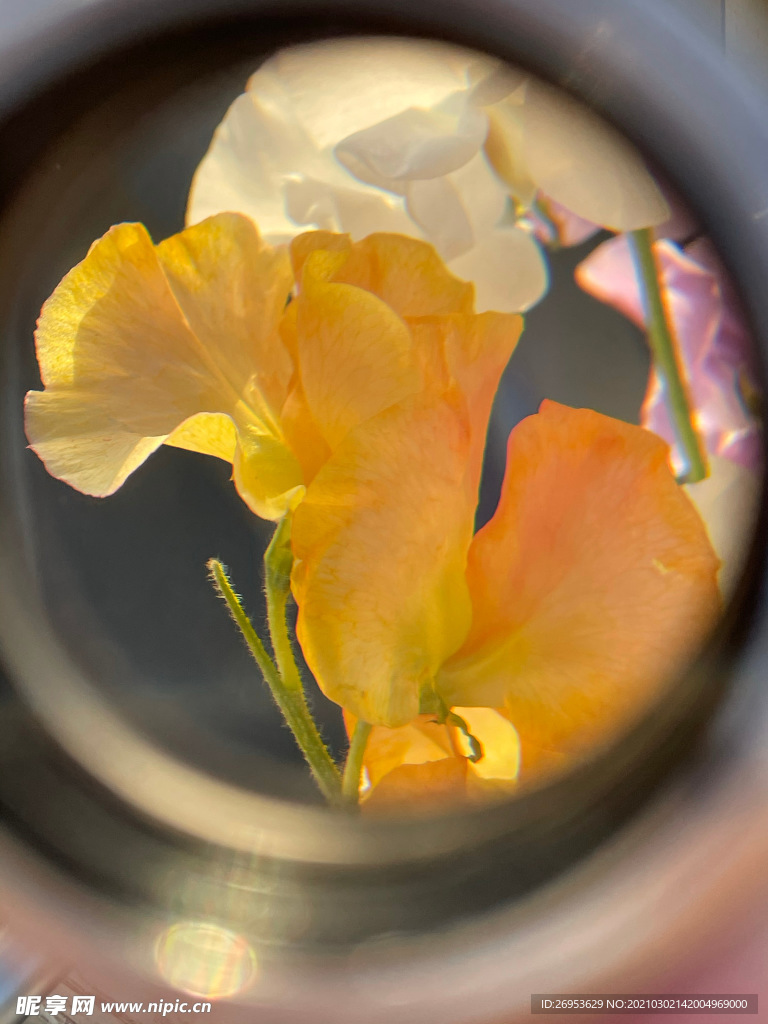 花