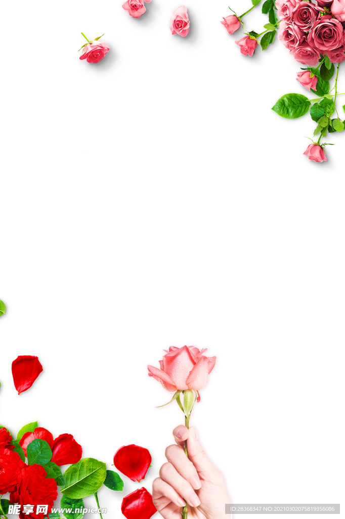 妇女节背景
