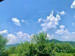 蓝天 树 山 云
