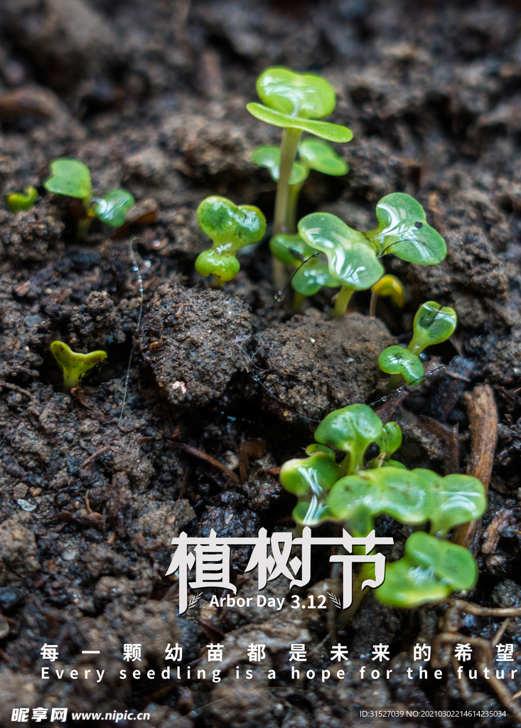 简约312绿色植树节海报