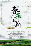 春茶