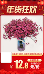 年货狂欢水晶草干花折纸花瓶