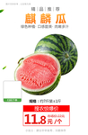 麒麟瓜推广图