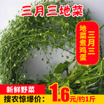 三月三地菜推广图
