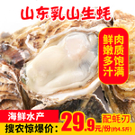 山东乳山生蚝推广图