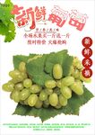 葡萄海报