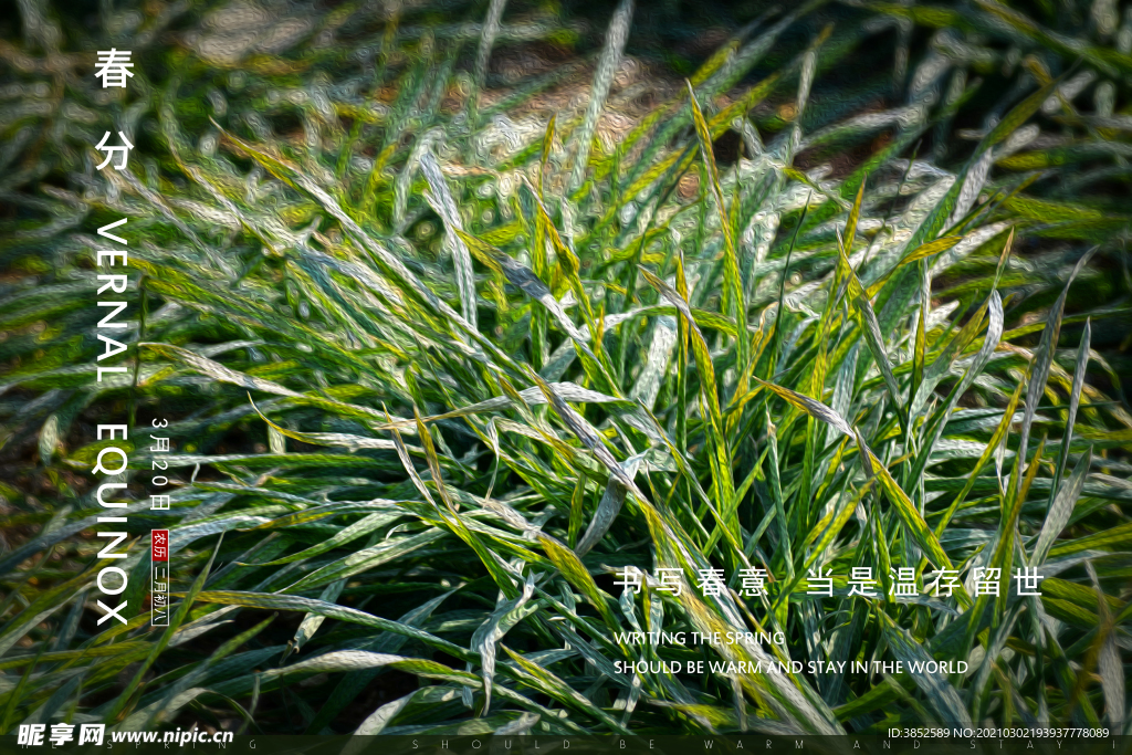 油画肌理效果写意麦田春分