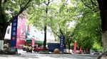 绿色城市 绿荫