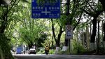 绿色城市 绿荫