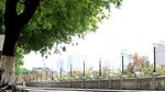 绿色城市 绿荫