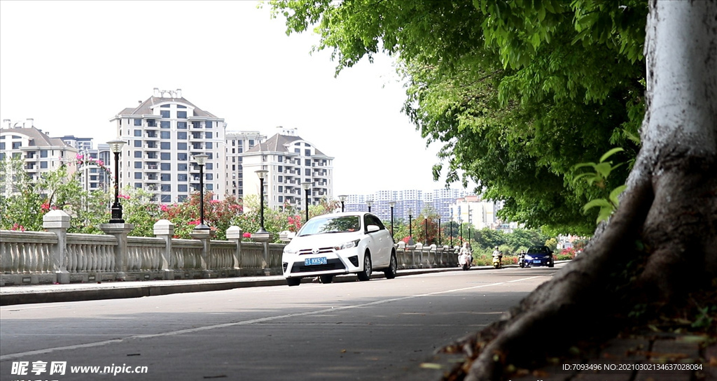 绿色城市 绿荫