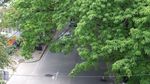 绿色城市