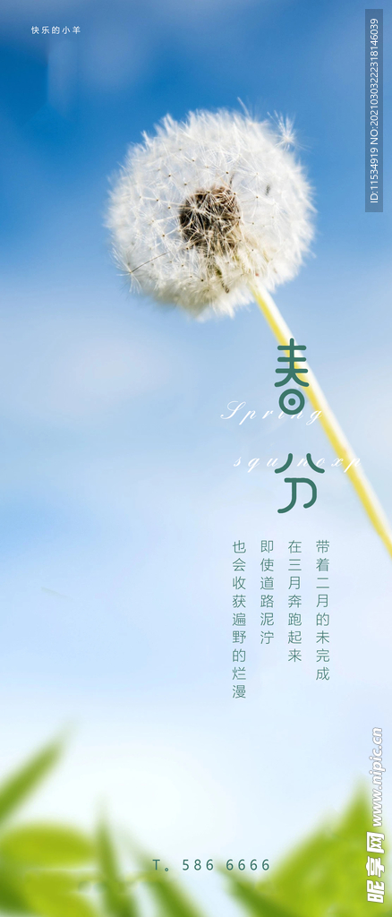 春分节气海报