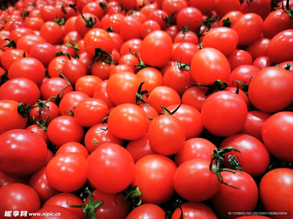 水果小番茄西红柿