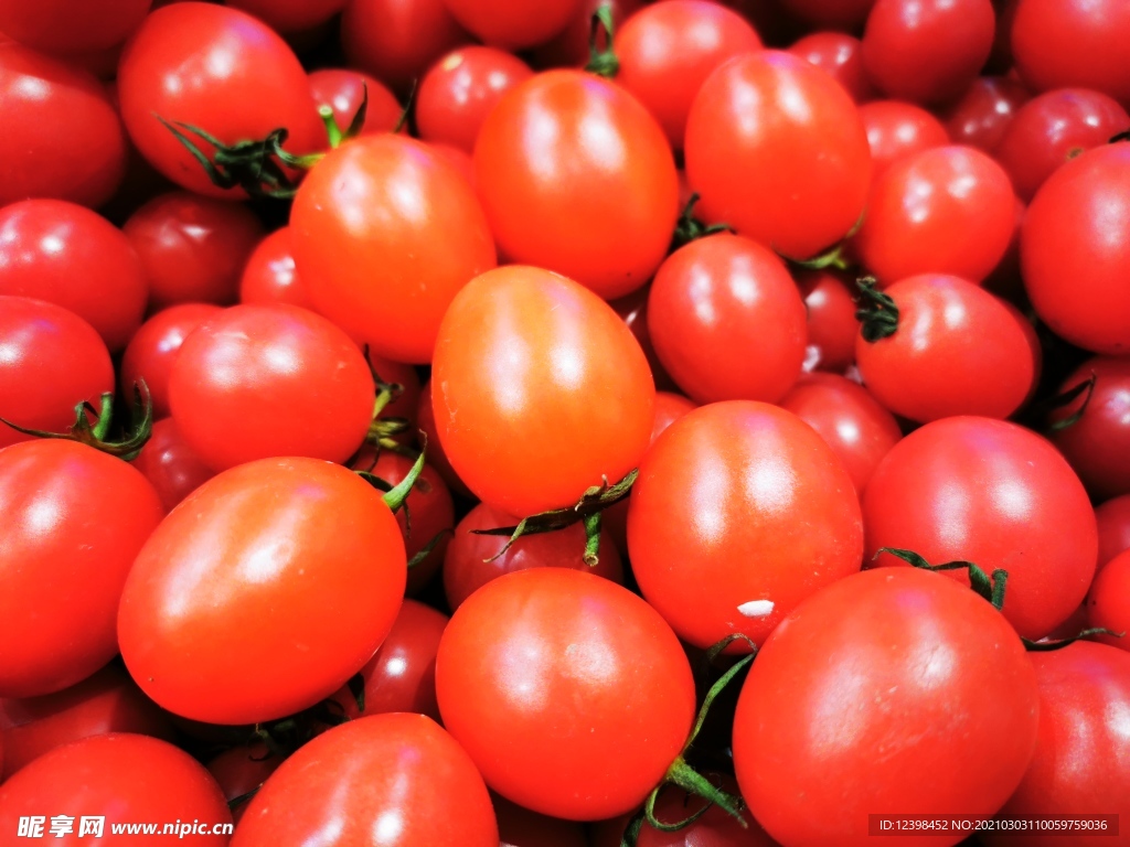 水果小番茄西红柿