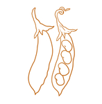 蚕豆