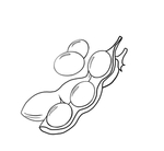 黄豆