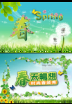 春天 sping 蓝天 白云