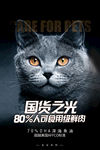 猫粮展会海报