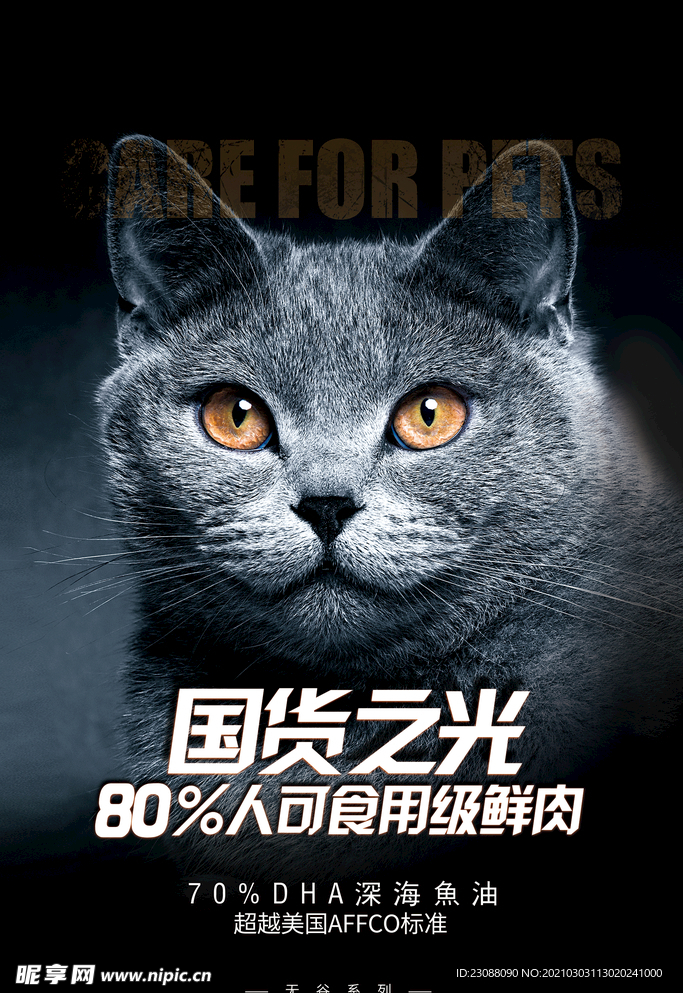 猫粮展会海报