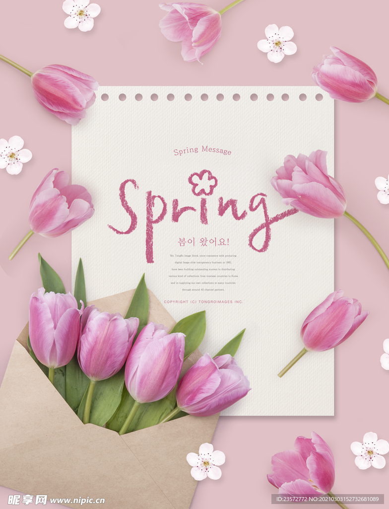 清新春季郁金香海报