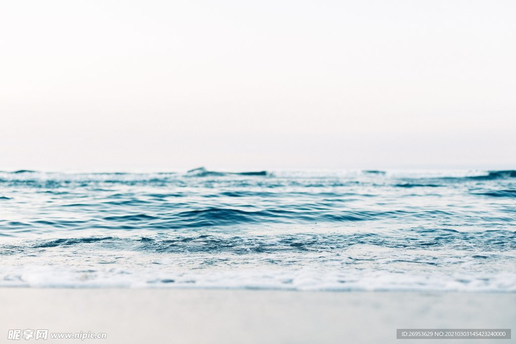 海