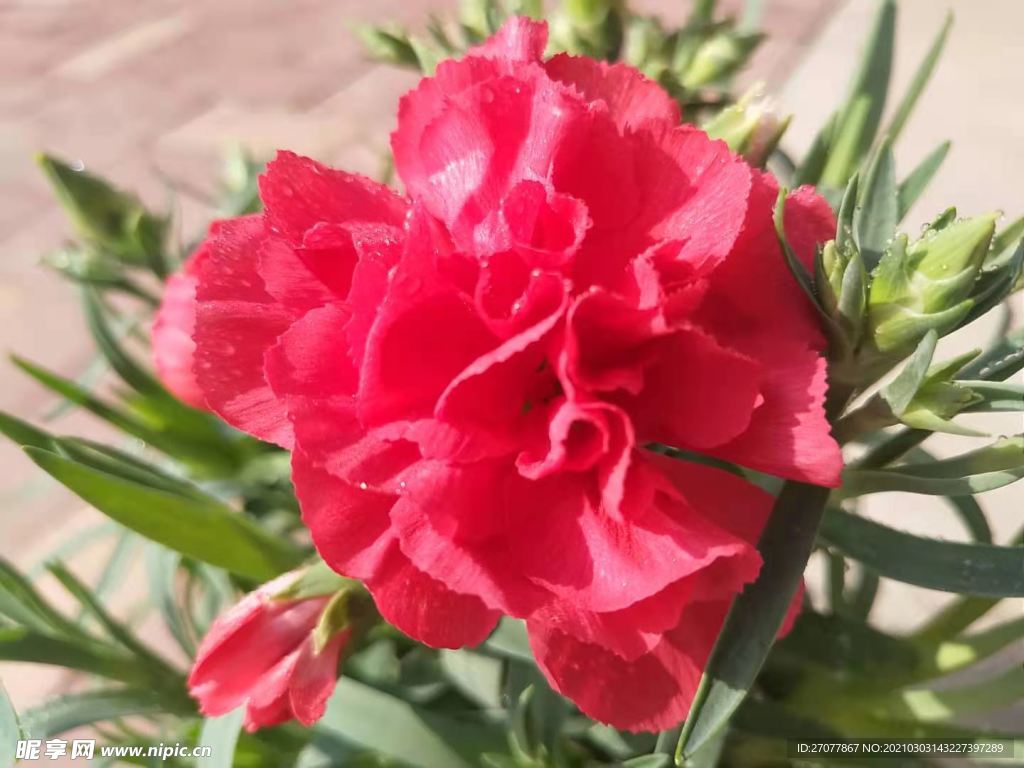 花