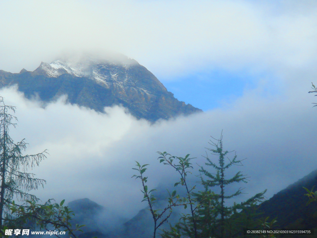 云雾高山