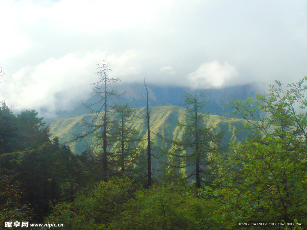 高山山顶