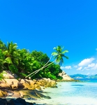 海滩