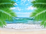 海滩
