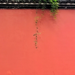 红墙