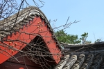 红墙