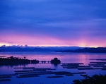 黄昏